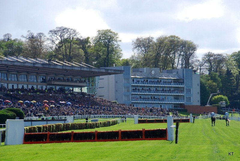 EBF Novices handicap hurdle final at Sandown Park