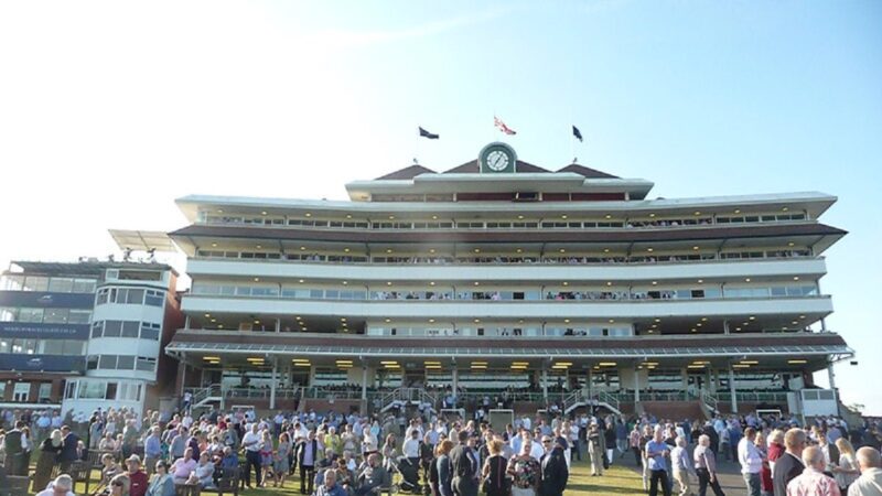 Newbury racecourse Ladbrokes Trophy Chase