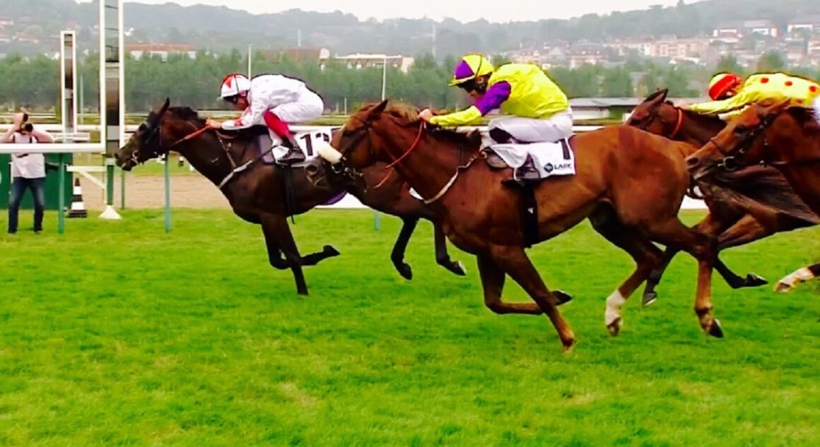 Betting Exchange live streaming and replays