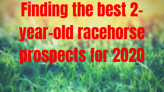 Finding the best 2-year-old racehorse prospects for 2020