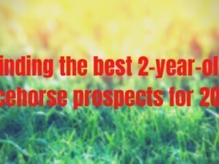 Finding the best 2-year-old racehorse prospects for 2020