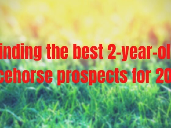 Finding the best 2-year-old racehorse prospects for 2020