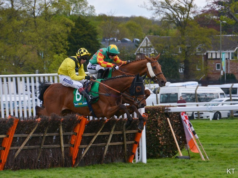 Sternrubin wearing a hood and Lil Rockerfeller wearing cheekpieces jusp a hurdle at Sandown Park
