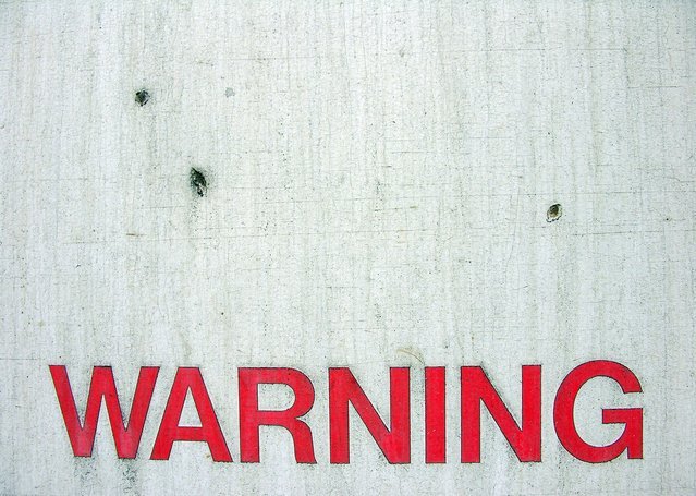 how much do horses improve from debut run by trainer