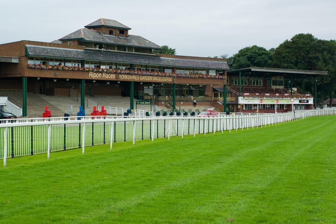 How Does The Racecourse Going Impact A Horses Chance Of Winning?