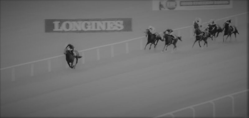 Pinatubo champion 2-year-old