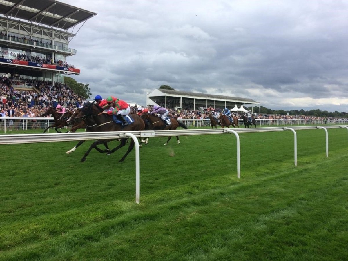 The final furlong at York