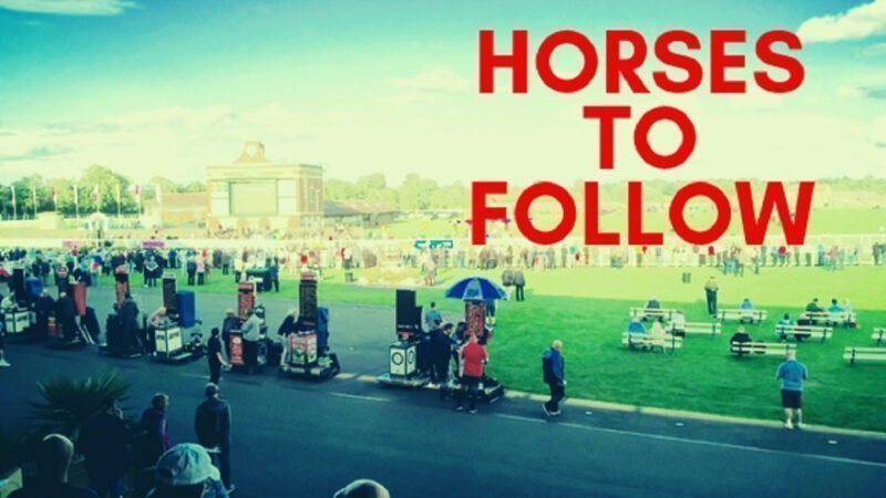horses to follow