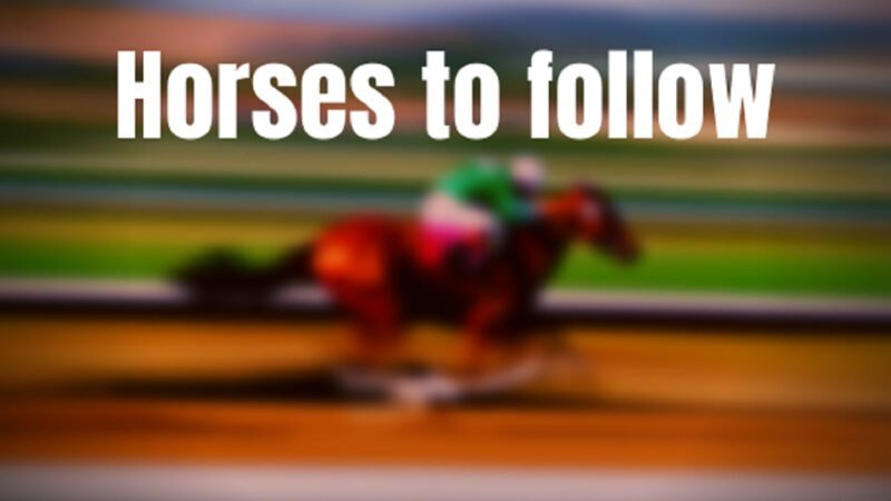 HORSES TO FOLLOW COCHISE