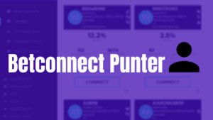 Betconnect review Punter account