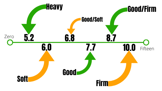 Going Stick Scale National Hunt