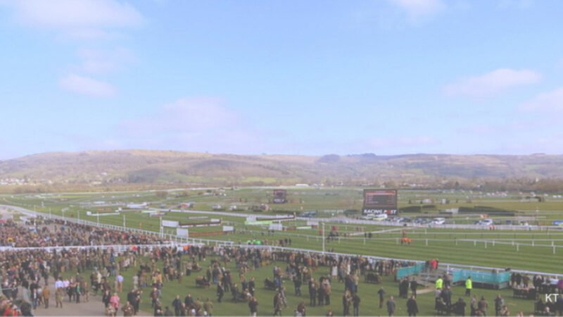 Greatwood Hurdle preview
