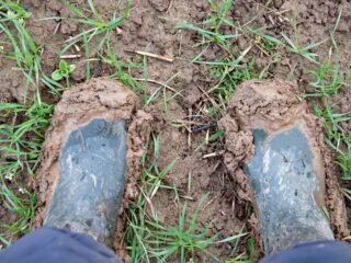 How does the Going Stick work in horse racing