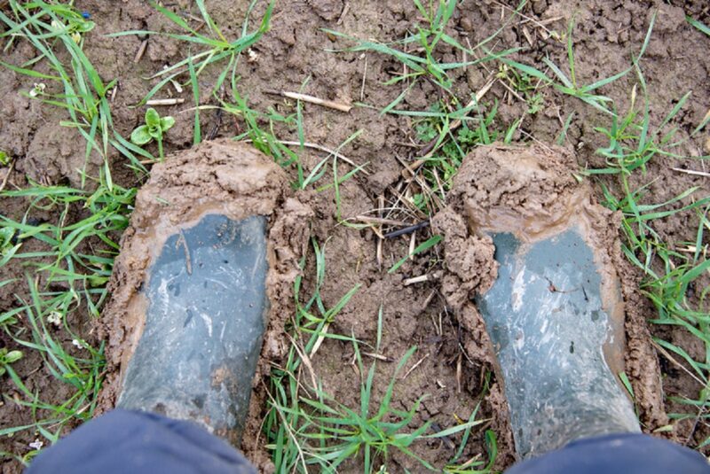 How does the Going Stick work in horse racing