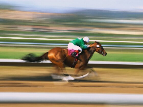 How fast do racehorses run