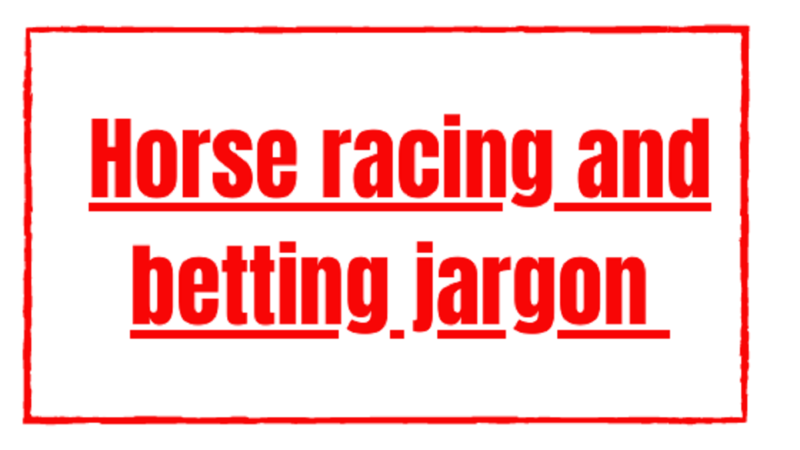 Horse racing and betting jargon explained