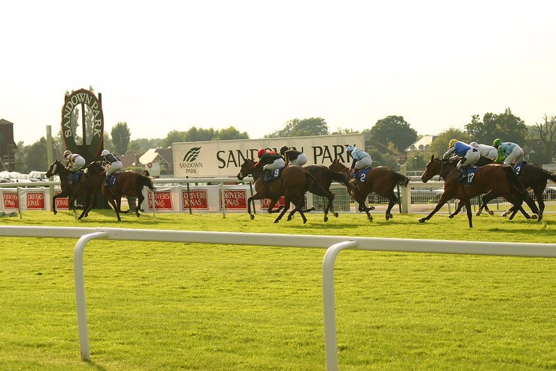 Horses racing to the finish line