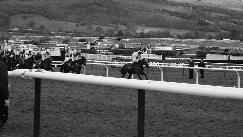 Horse racing at Cheltenham