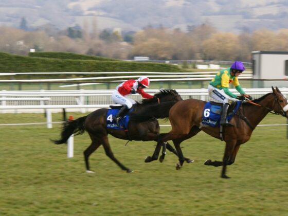 Cheltenham Festival Day 4 Prospects
