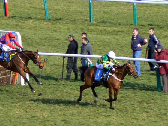 Cheltenham Festival day 1 preview