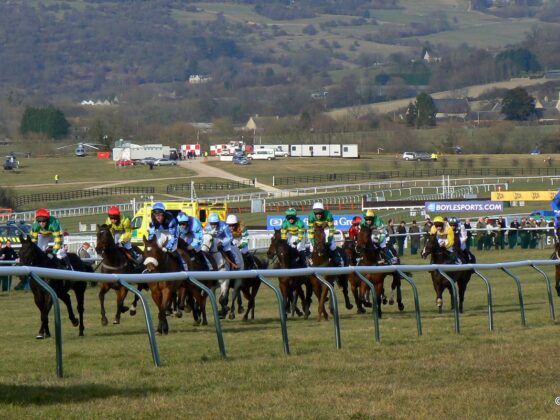 Cheltenham Festival Ante Post Bets