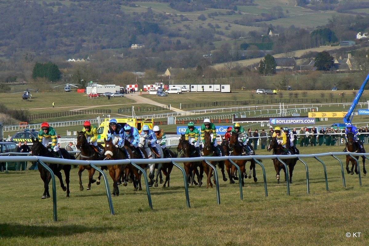 Cheltenham Festival Ante Post Bets