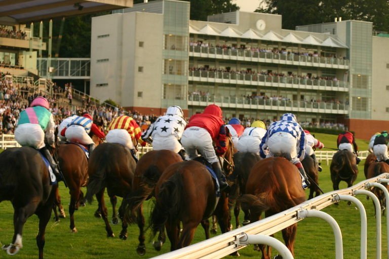 Flat horses to follow 2020