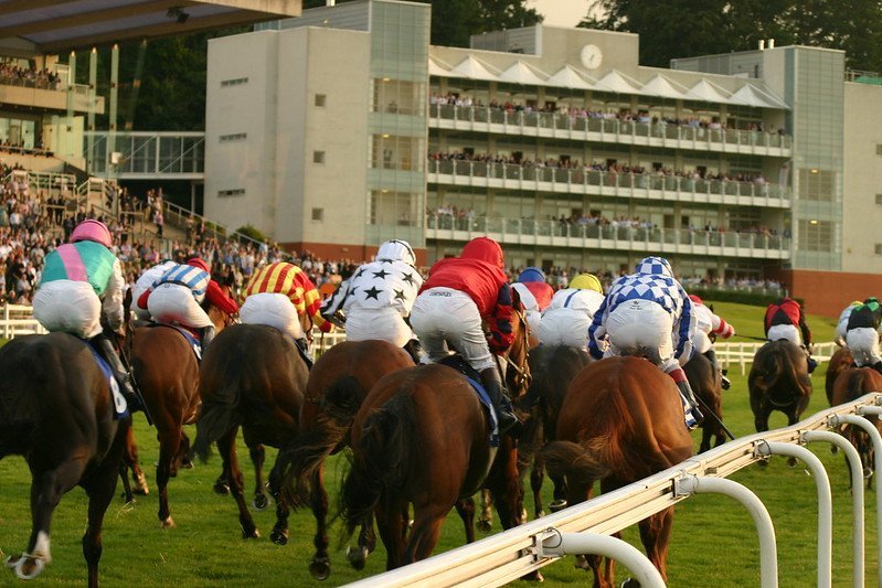 Flat horses to follow 2020