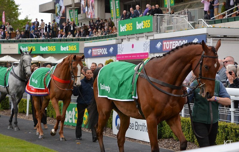 Imperial Cup Preview Sandown Park