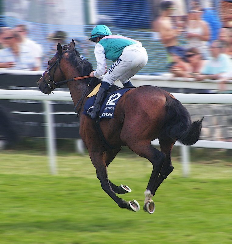 Epsom Derby entries 2020