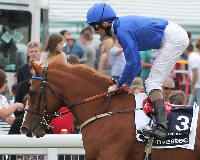 5 Godolphin horses to follow for 2020