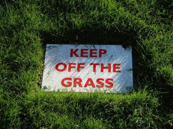 When will horse racing resume