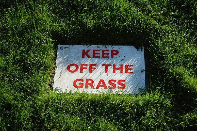 Keep of the grass - when will horse racing resume in the UK?