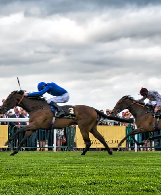 Horse racing dosage index