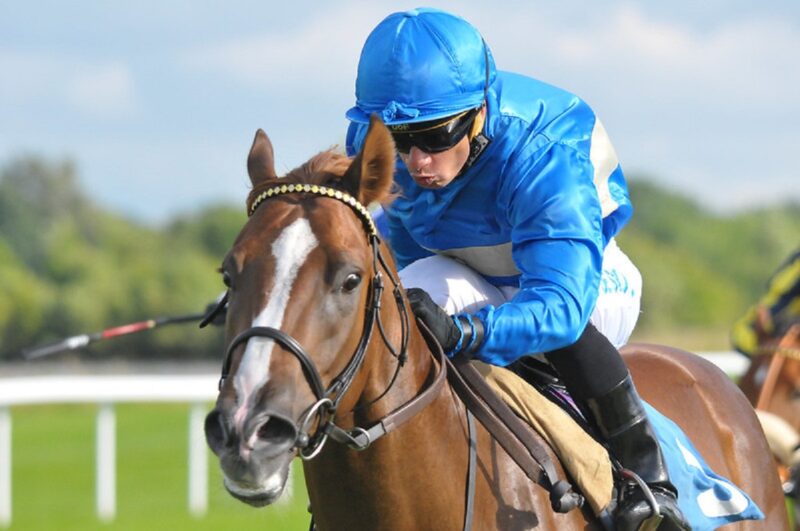 Well handicapped horses on the Flat in 2020