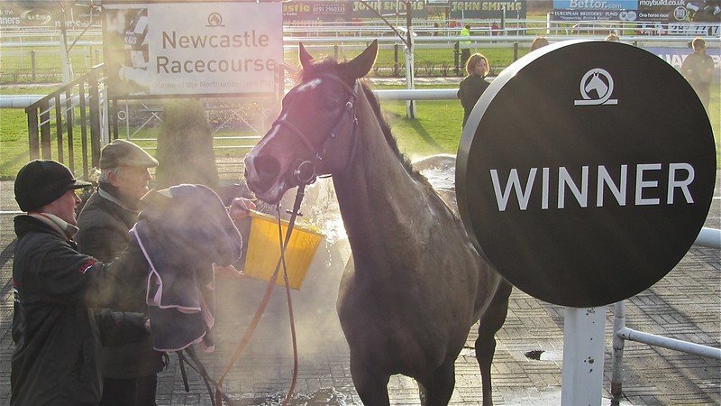 Newcastle Racecourse
