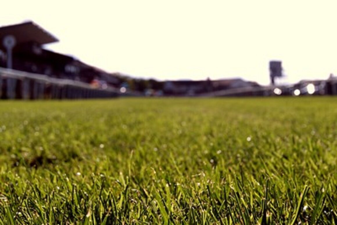 Beverley race of the day