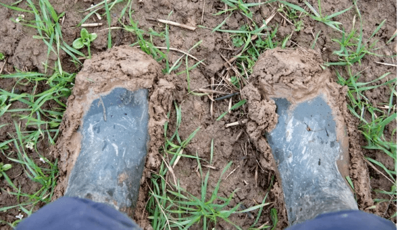 How does the Going Stick work in horse racing