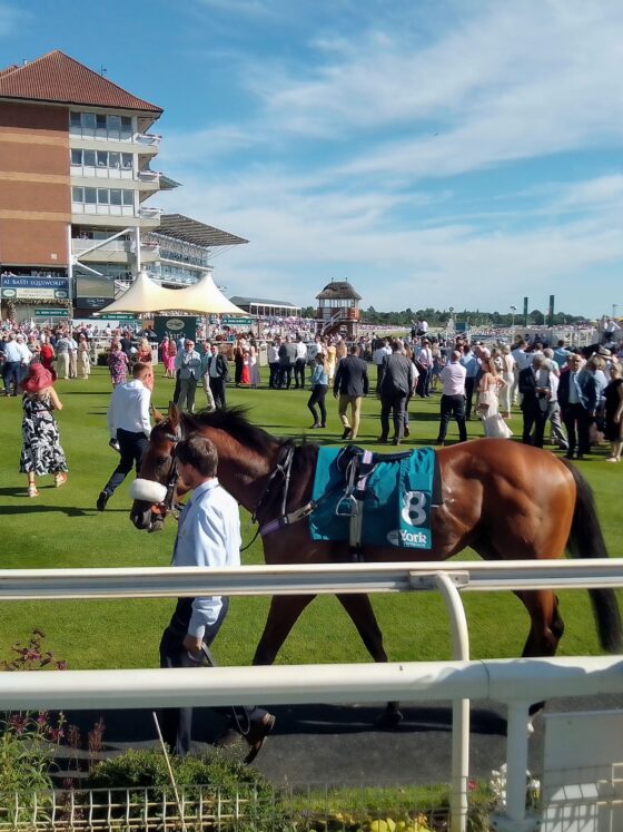 York Ebor meeting 2025 preview and tips