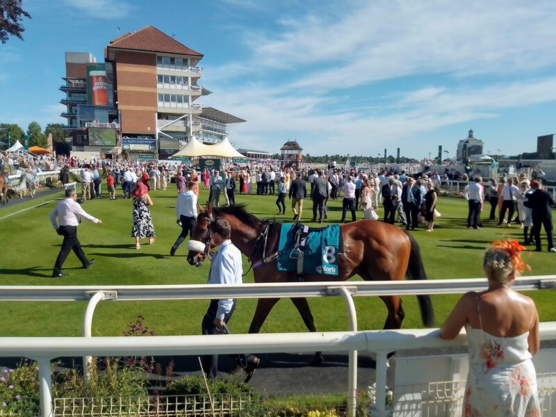 York Ebor meeting 2025 preview and tips