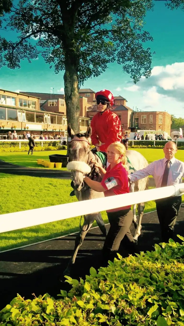 Racehorse Prospects