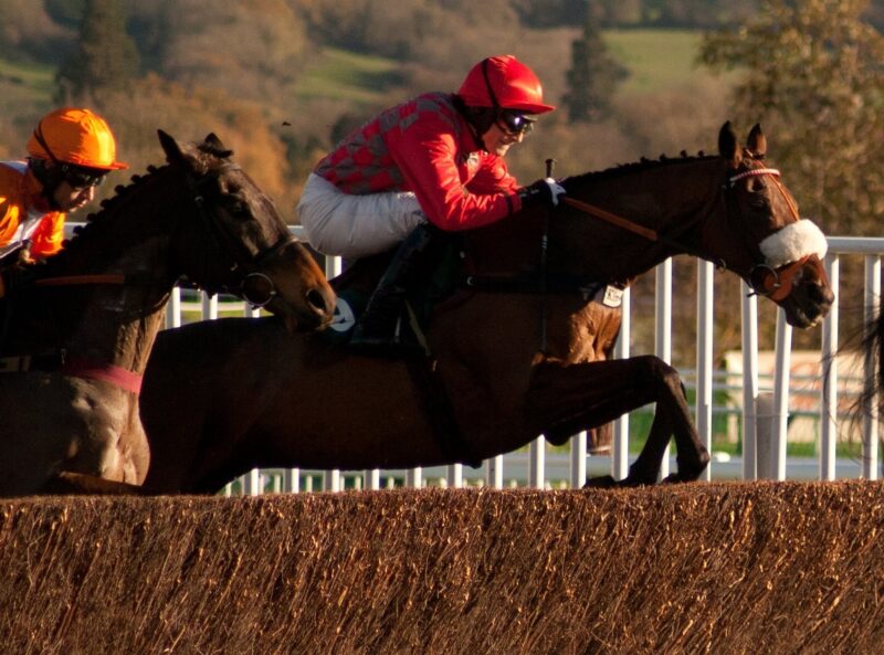 Master Tommytucker RSA Chase
