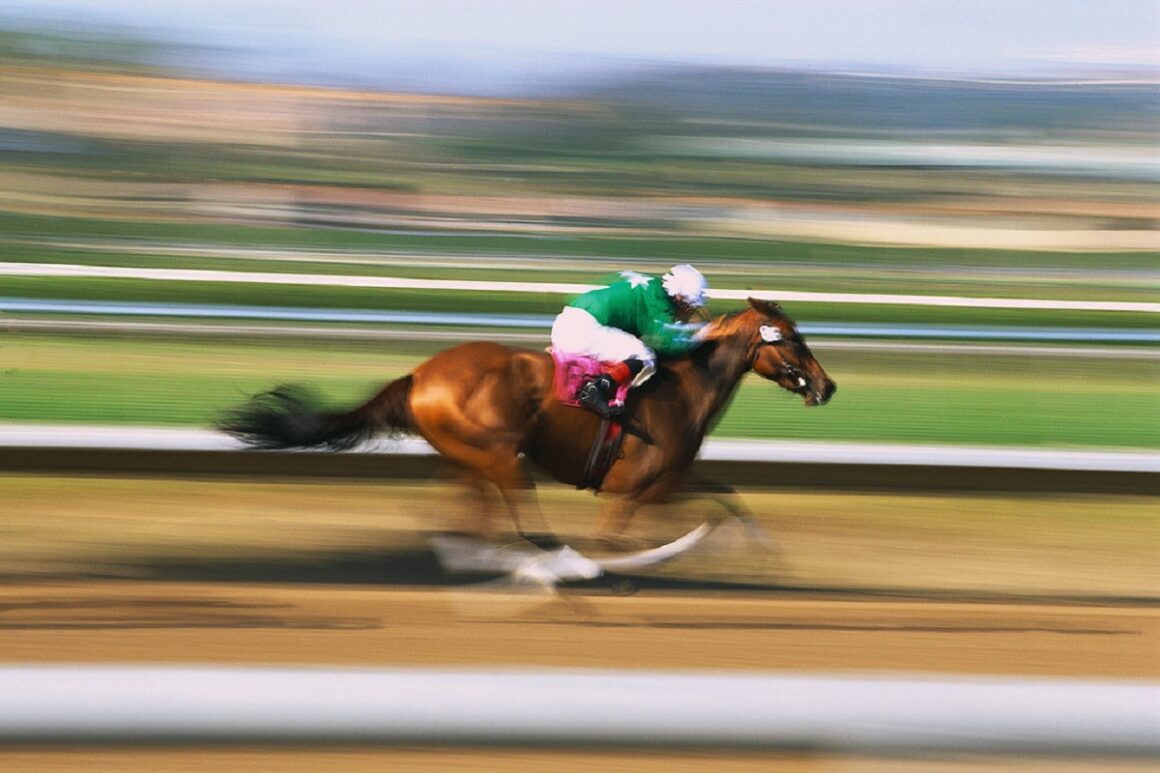 How fast do racehorses run