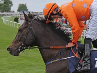 Doctor Parkes at Epsom - Improve your betting discipline