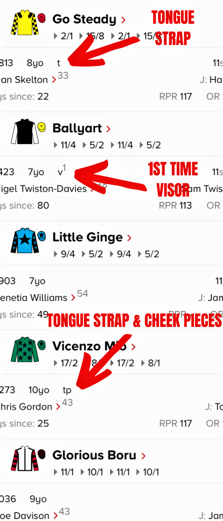 Horse Racing Headgear Explained Bet4bettor Betting Advice