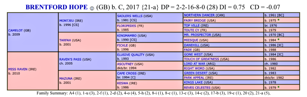 Racehorse prospect for 2020 Brentford Hope dosage index profile