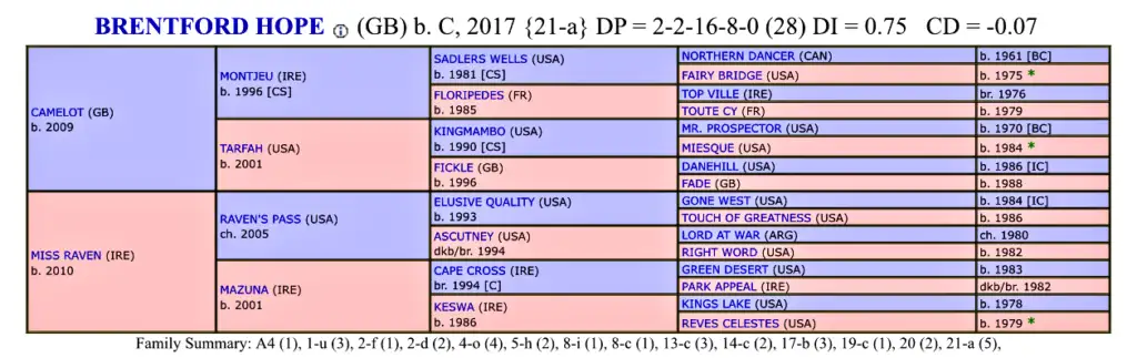 Racehorse prospect for 2020 Brentford Hope dosage index profile