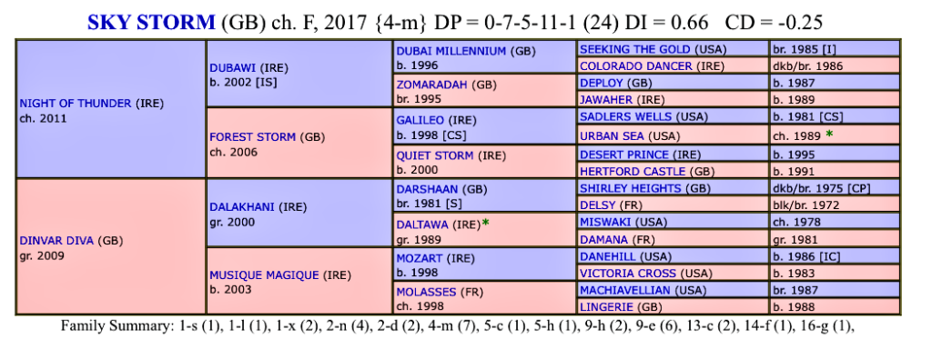 Horse to follow 2020 Sky Storm