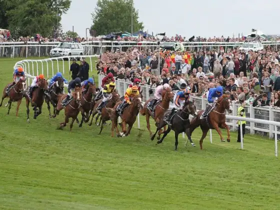 Epsom Derby runners