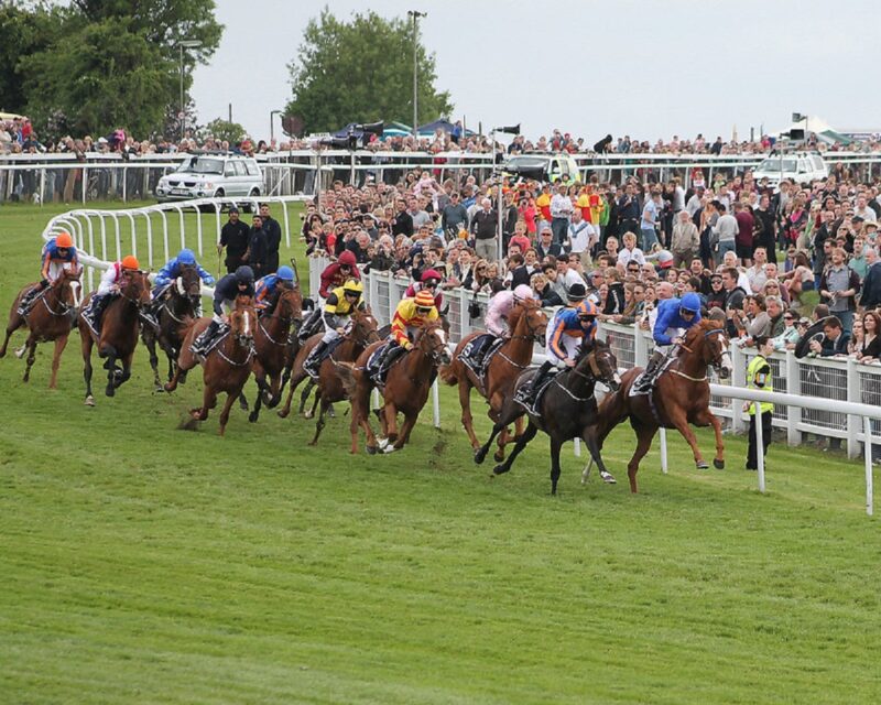 Epsom Derby runners